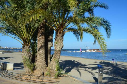 Azucena Del Mar V - 3109