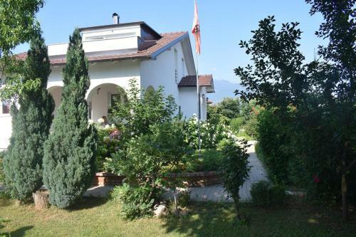 Green Paradise Villa