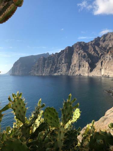 Aqua Apartment In Los Gigantes
