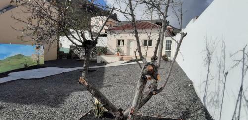 Villa Casita Aromas Del Patio