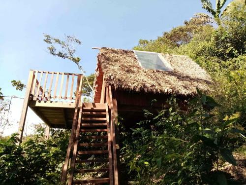 Hotel La Jungla
