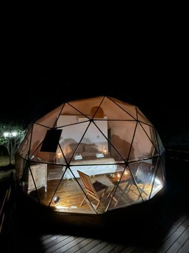 Don Aniceto Lodges & Glamping