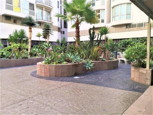 New Estrelitzia Luxury Apartamen