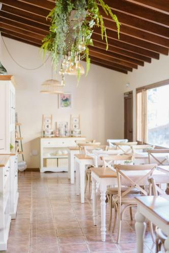 Hotel Rural Ohana
