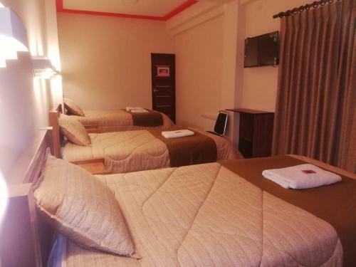 Hotel Los Andes Del Sur
