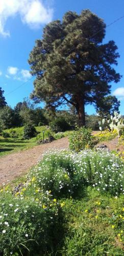 Finca Verode