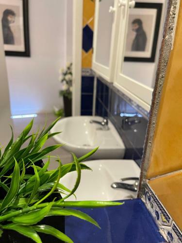 Apartamento Dream Recova