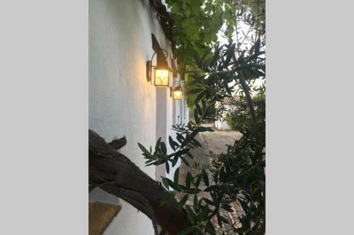 Cortijo El Retamar