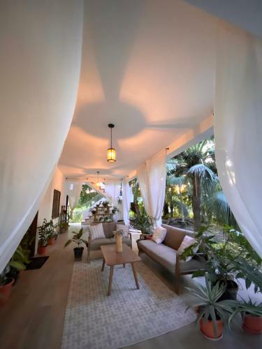 Stylish Apartments
