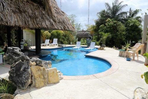 The Gecko Bungalow**beautiful Pool**free Airport Shuttle