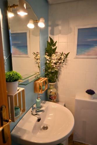 Apartamento Sunflower Salamanca
