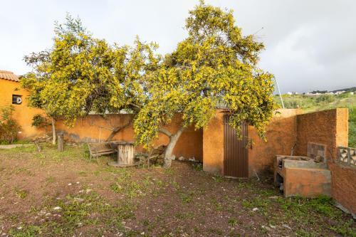 Home2book Amazing Teide View & Terrace