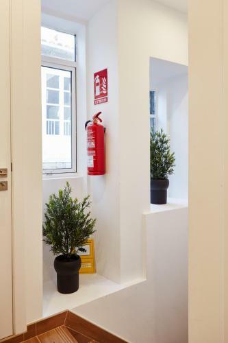 Apartamentos Orfas