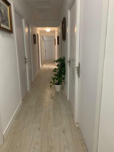 Hostal Econosantiago