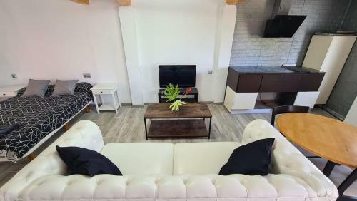 Casa-loft En El Bosque