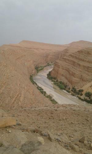 �cologie Oasis Tafilalt