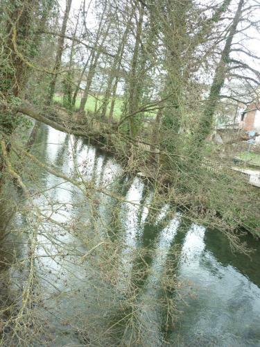Pensi�n-albergue Puente Ribeira