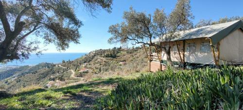 Campo Agave Luxury Tents