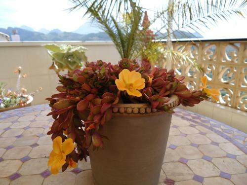 Bed & Breakfast Villa Pico