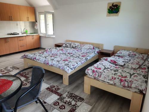 Bed & Breakfast Vila Na Drini-apartmani