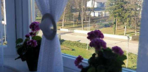 Apartman Hana