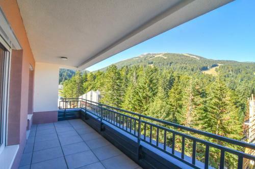 Mountain Wings Apartments