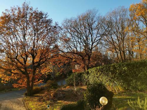 Bed & Breakfast Les Sittelles - Tilff