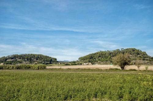 Villa Es Camp Pla