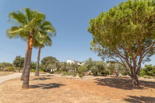 Villa Sa Finca de Jaume