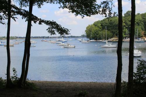 L'�cureuil Des Lacs