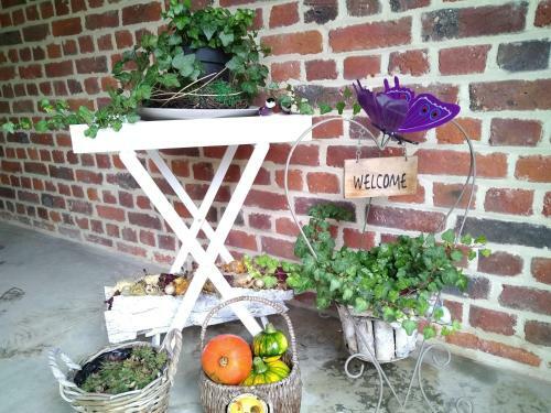 Vakantiewoning Mierzicht Met Priv� Wellness