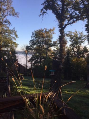 Bird House - Domaine Du Bonsoy - Hastiere