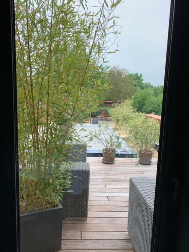 Bed & Breakfast La Chambre Du Chemin Vert : Spa Piscine Sauna