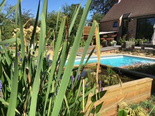 Bed & Breakfast La Chambre Du Chemin Vert : Spa Piscine Sauna