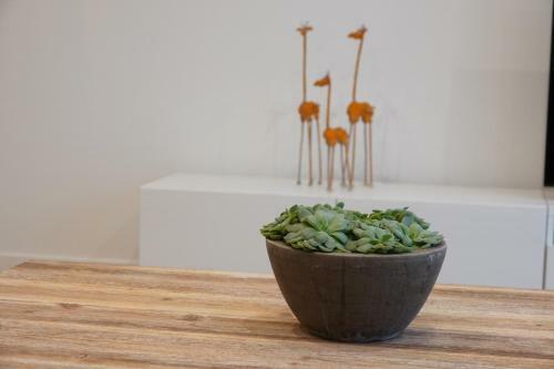 Apartamento House Forelle Gent