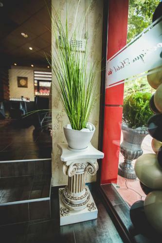 Asa Boutique Hotel
