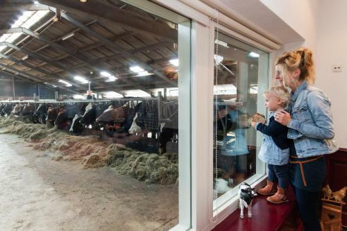 Hostal Farm Overleekerhoeve