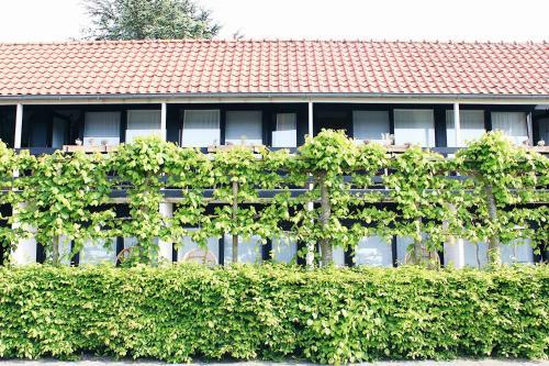 Hotel Sincfal