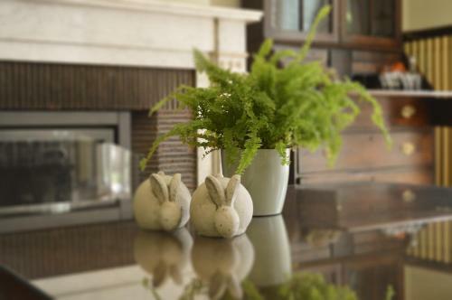 Bed & Breakfast De Gelaarsde Kat