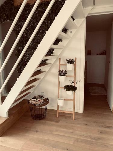 Apartamento Lichtrijke Loft Bij Restaurant Den Olifant