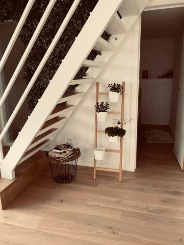 Apartamento Lichtrijke Loft Bij Restaurant Den Olifant
