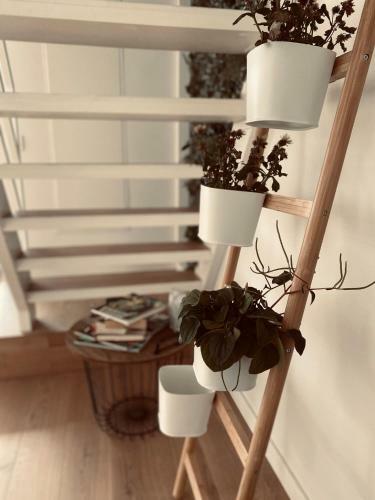 Apartamento Lichtrijke Loft Bij Restaurant Den Olifant