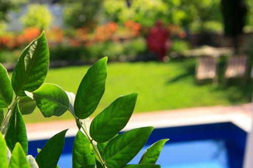Vilarte Hotel