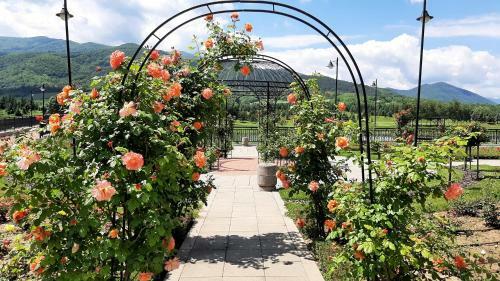 Apartamento Studio -apartament Pravets Spa Resort With Beautiful Lake View