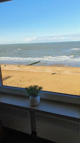 Apartamento Appartement Knokke Zeedijk