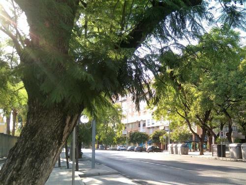 Apartamento Buhaira