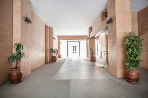 Apartamento Buhaira