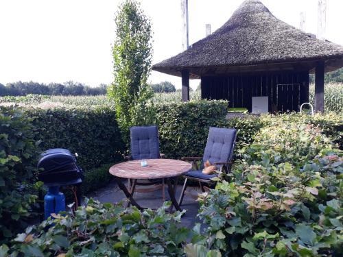 Apartamento Het Koetshuis