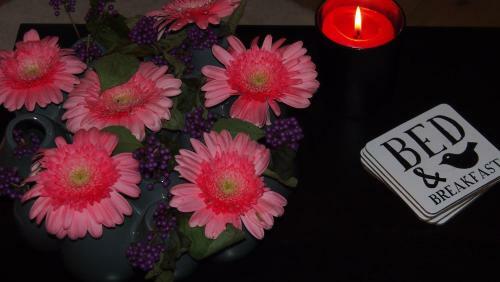 B&b"de Hassehof"