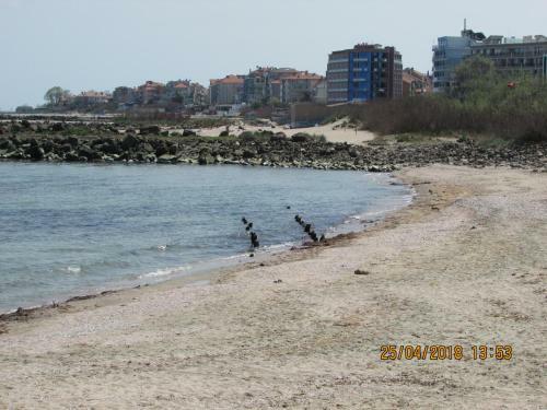 Apartamento ?????? ?????